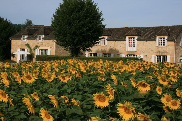 Domaine Des Hirondelles Villa Saint-Vincent-de-Cosse Room photo